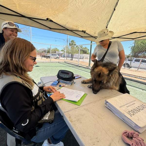 Gobierno de Sonora beneficia con servicios a animales de compañia en colonia de Hermosillo