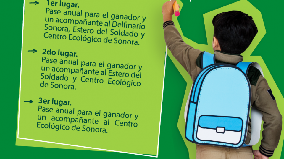 Concurso de Dibujo Infantil 2022: ¿Cómo cuidas el Medio Ambiente?