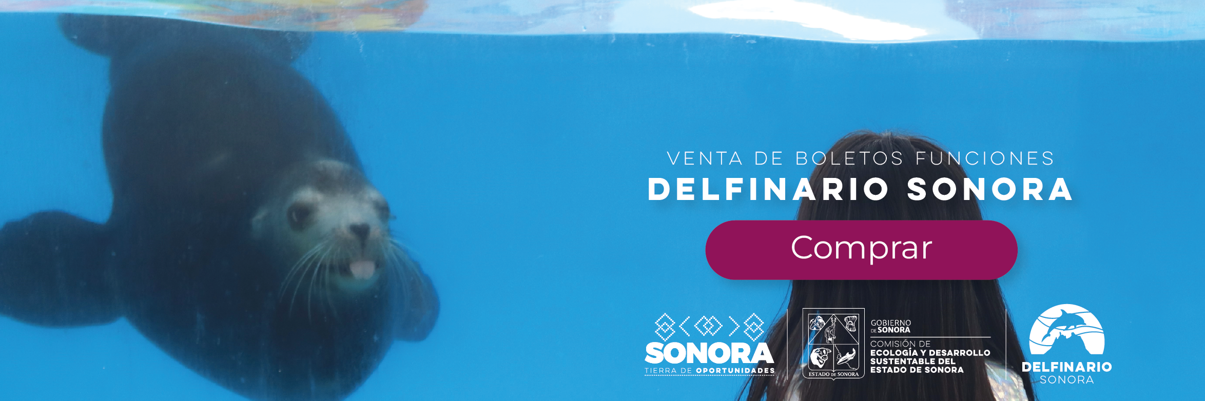 Comprar boleto en línea