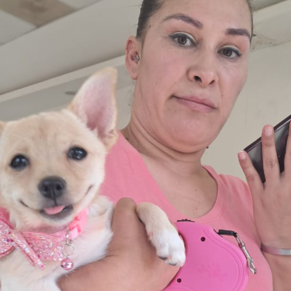 Gobierno de Sonora brinda servicios de esterilización en beneficio de animales de compañía en Sahuaripa